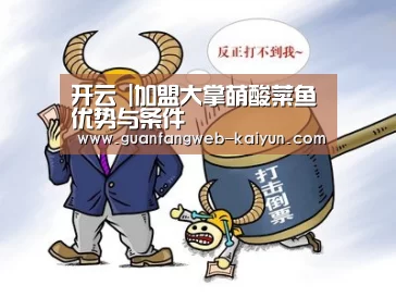 开云 |加盟大掌萌酸菜鱼优势与条件(图2) kaiyun官网首页